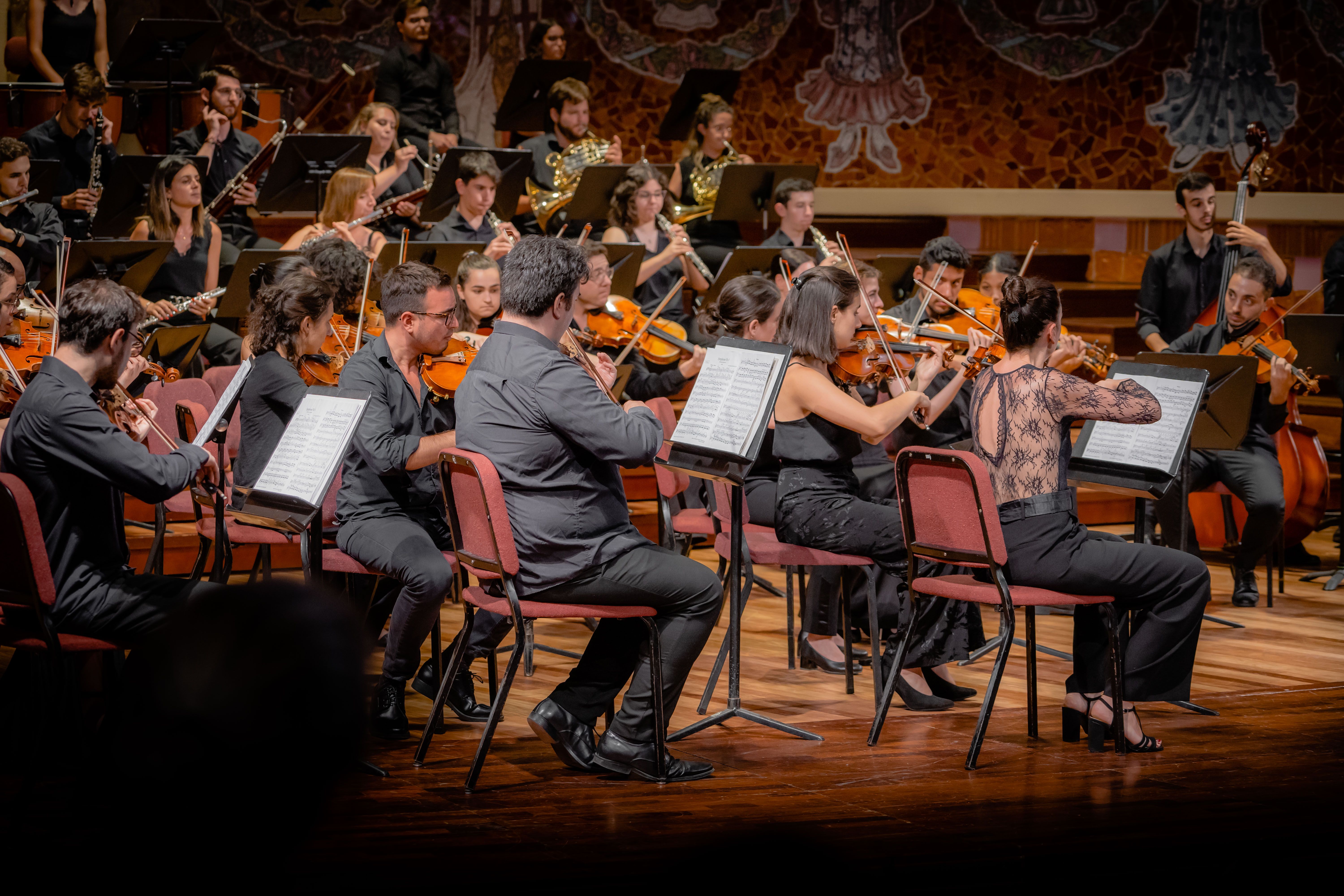 L'Orquestra Simfònica Segle XXI oferirà un concert homenatge al compositor Anton Bruckner. FOTO: Cedida