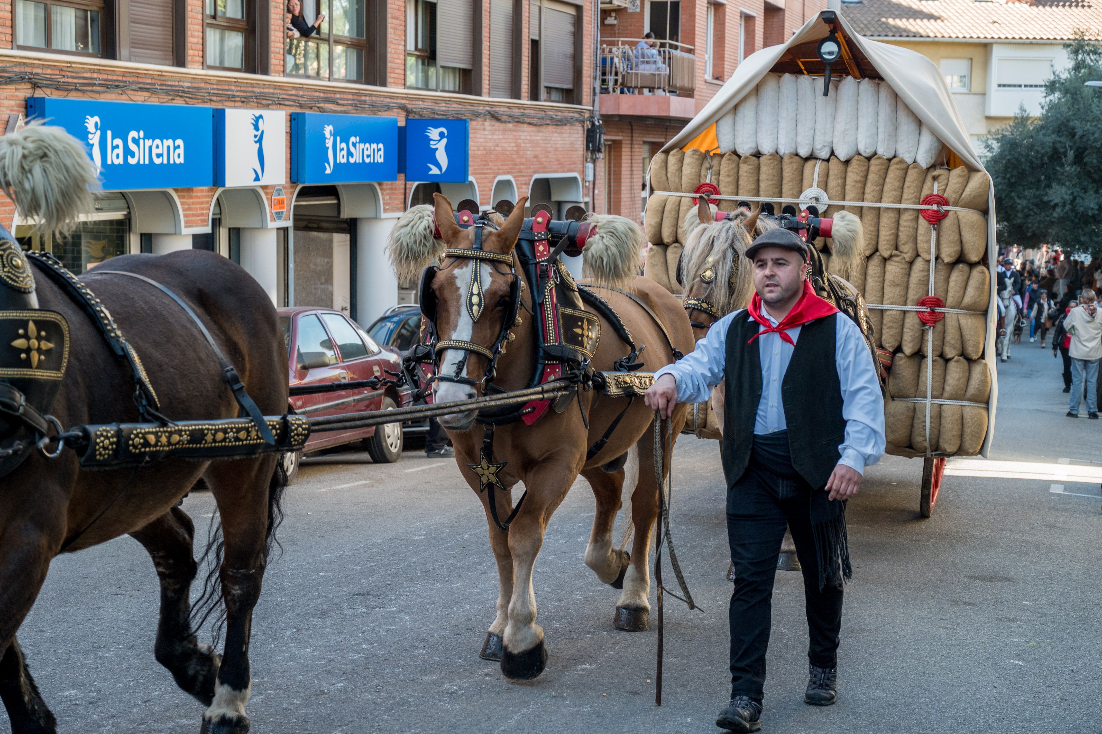 Rua dels Tres Tombs per Sant Antoni 2025 FOTO: Carmelo Jiménez