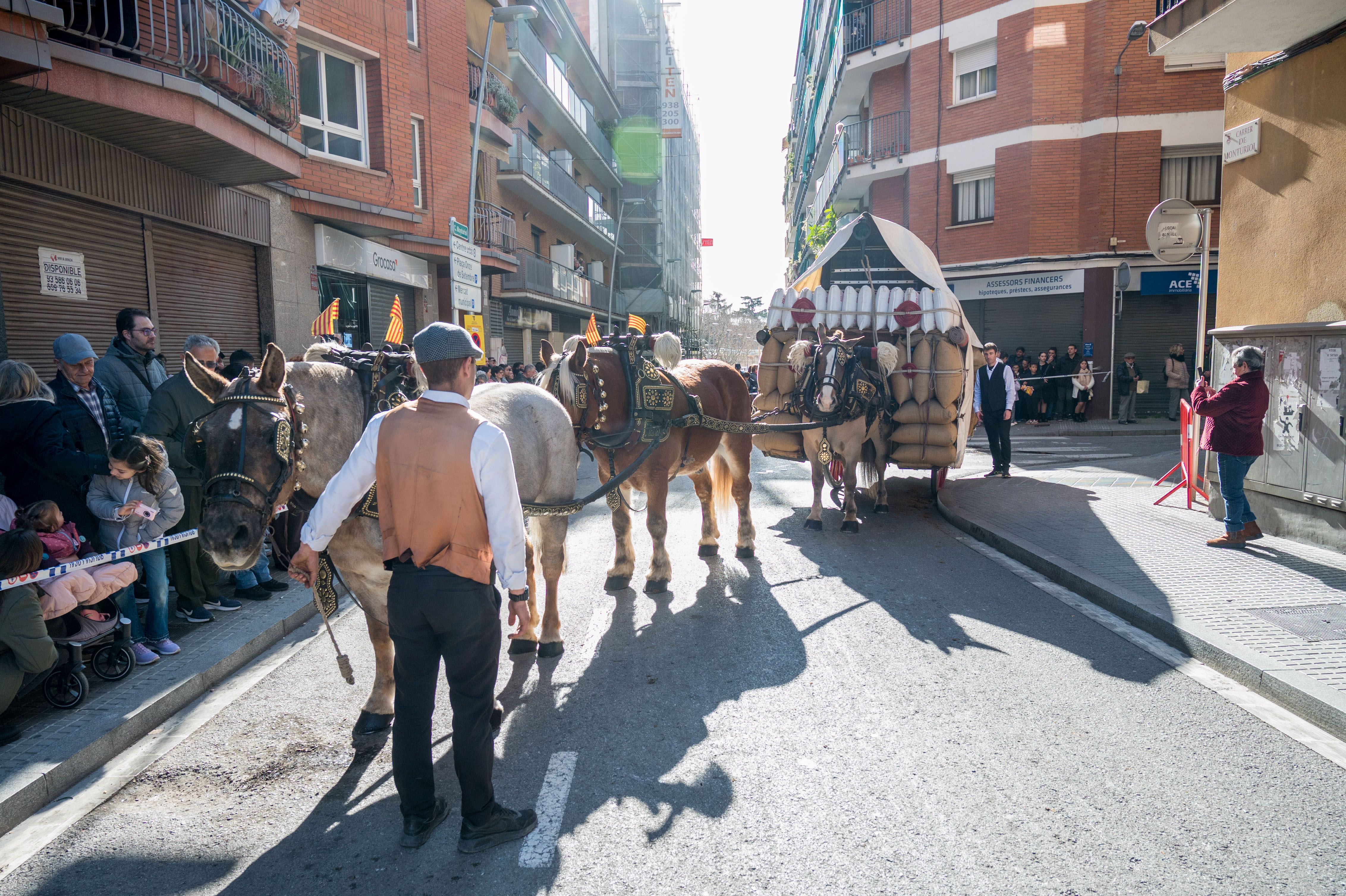 Rua dels Tres Tombs per Sant Antoni 2025 FOTO: Carmelo Jiménez