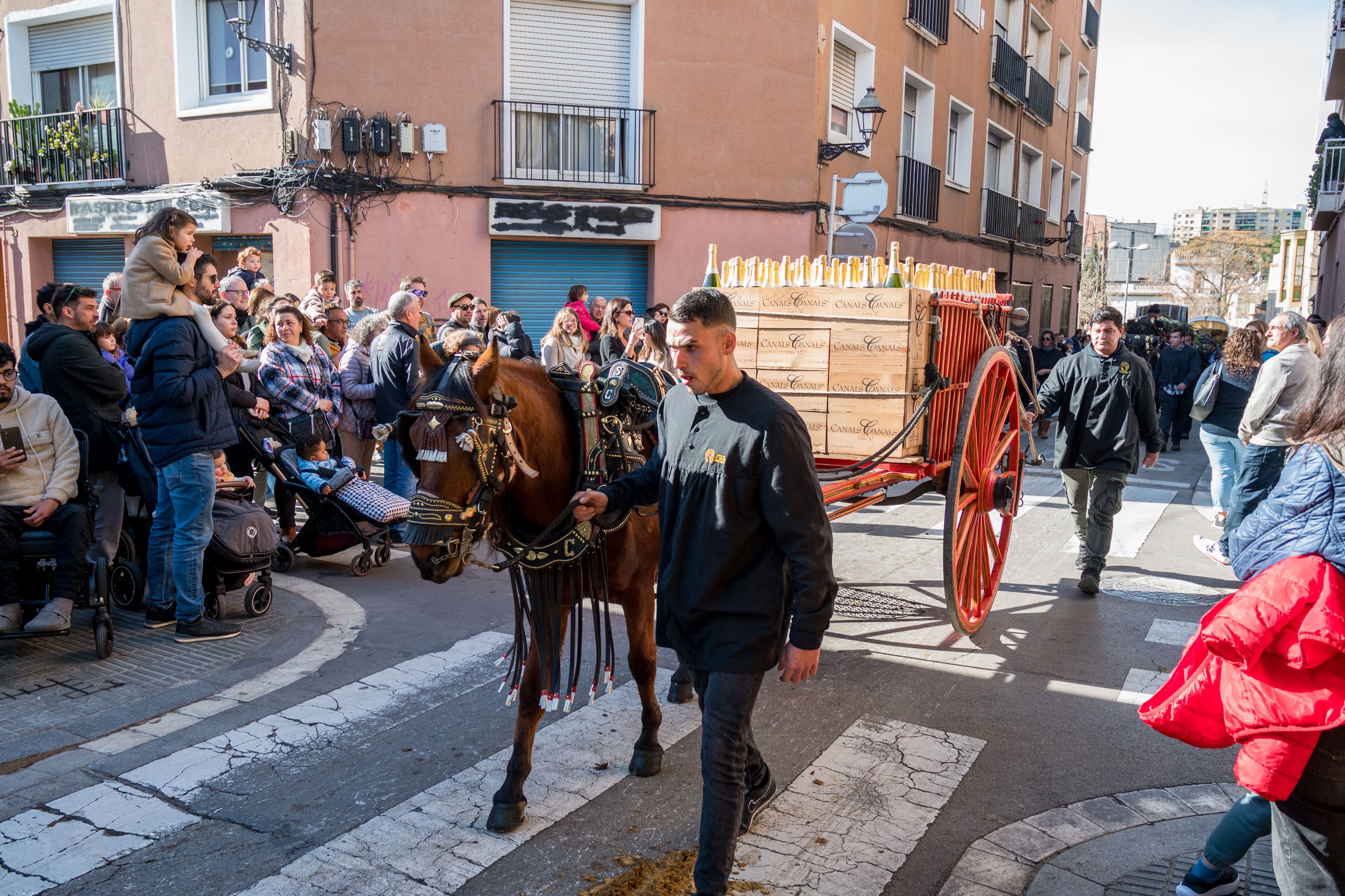 Rua dels Tres Tombs per Sant Antoni 2025 FOTO: Carmelo Jiménez