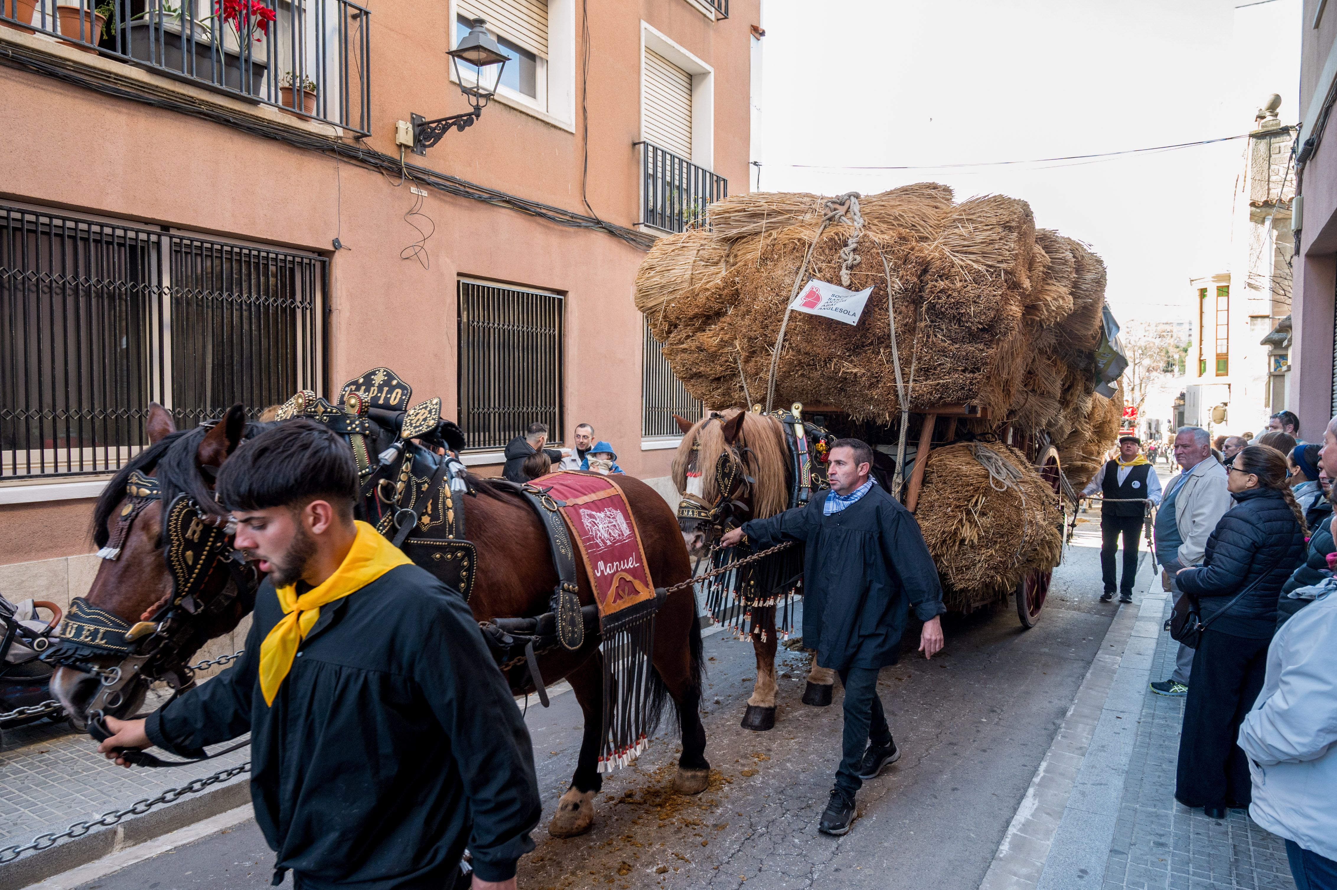 Rua dels Tres Tombs per Sant Antoni 2025 FOTO: Carmelo Jiménez