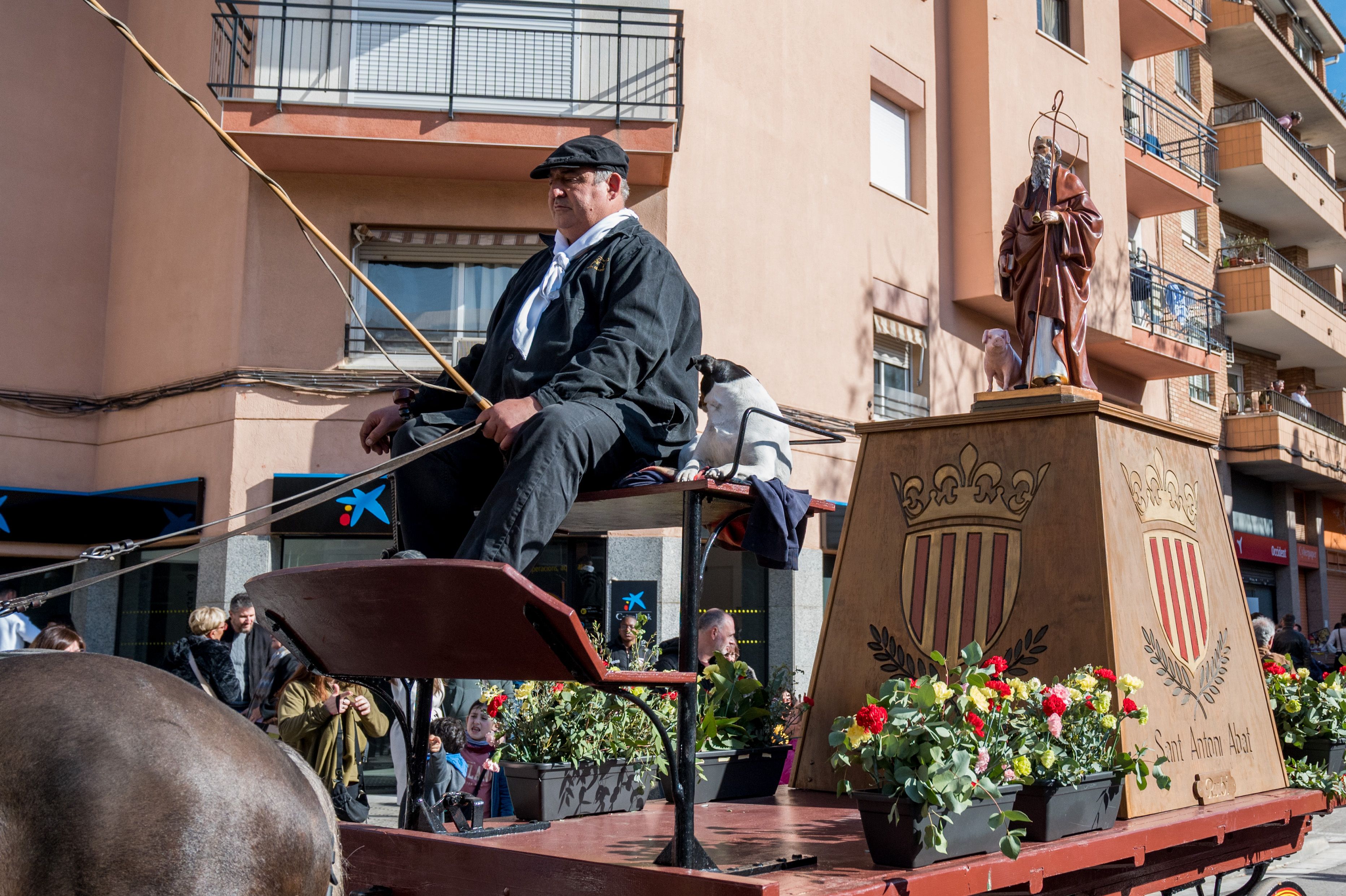 Rua dels Tres Tombs per Sant Antoni 2025 FOTO: Carmelo Jiménez