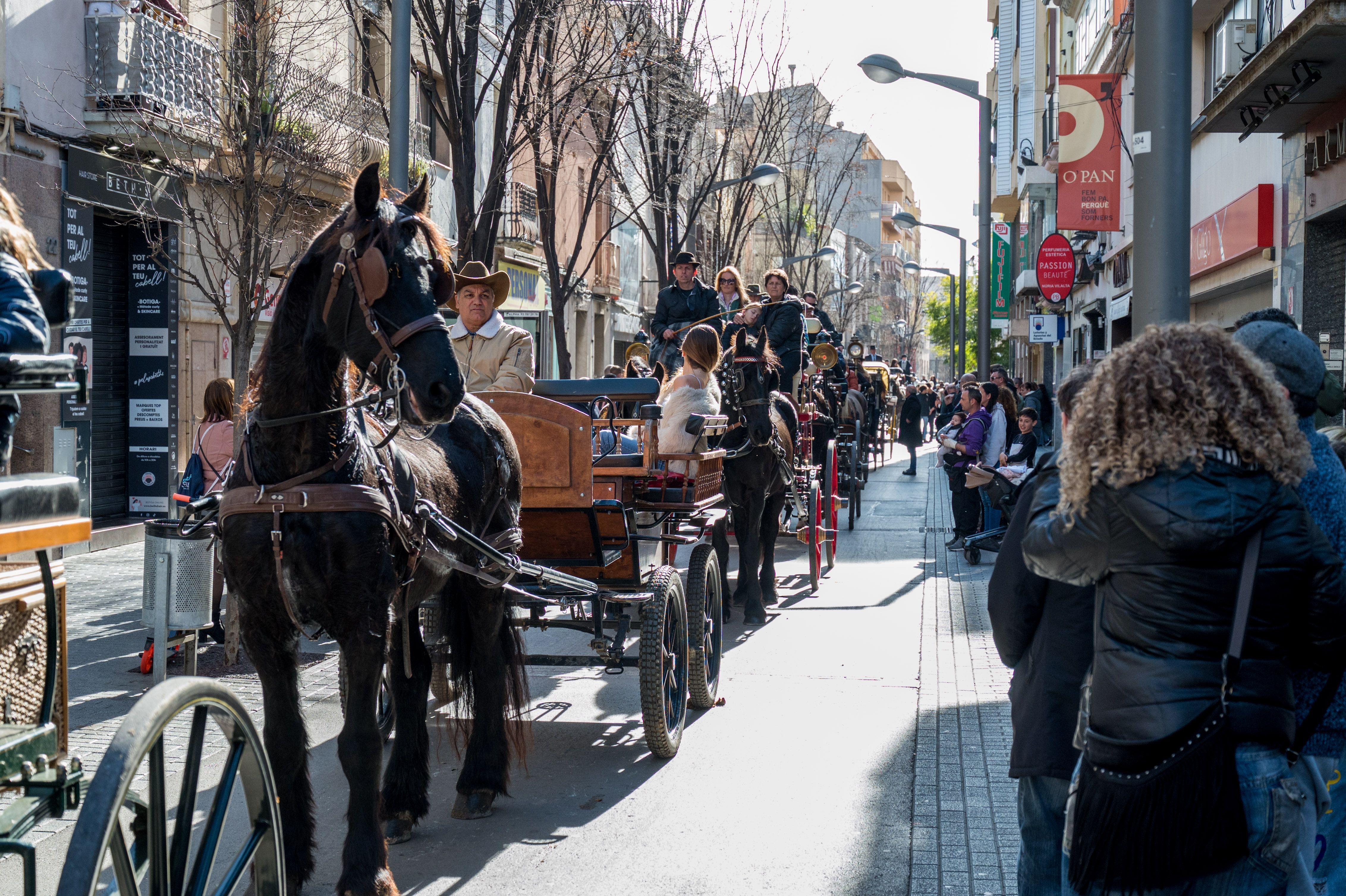 Rua dels Tres Tombs per Sant Antoni 2025 FOTO: Carmelo Jiménez