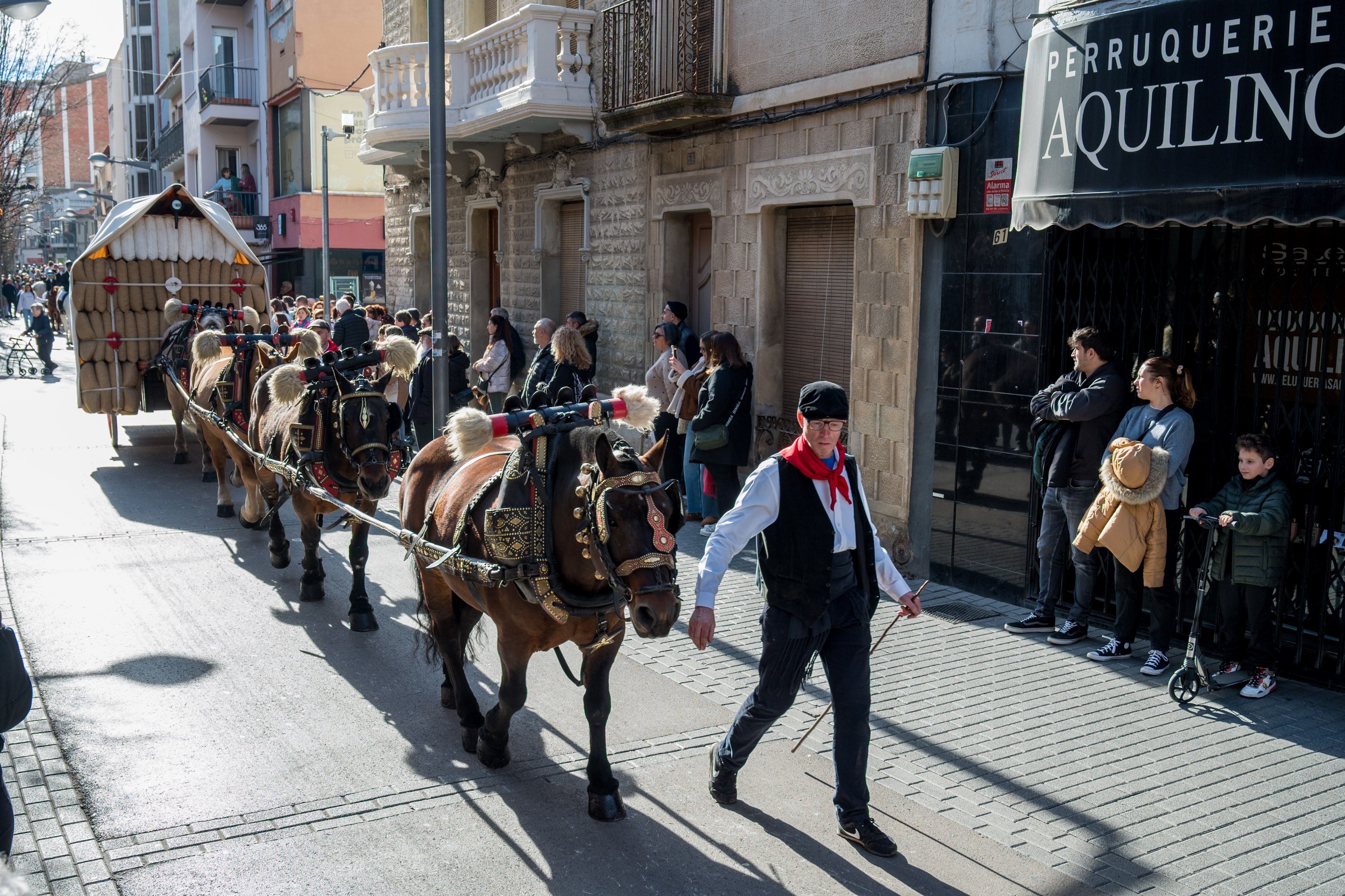 Rua dels Tres Tombs per Sant Antoni 2025 FOTO: Carmelo Jiménez