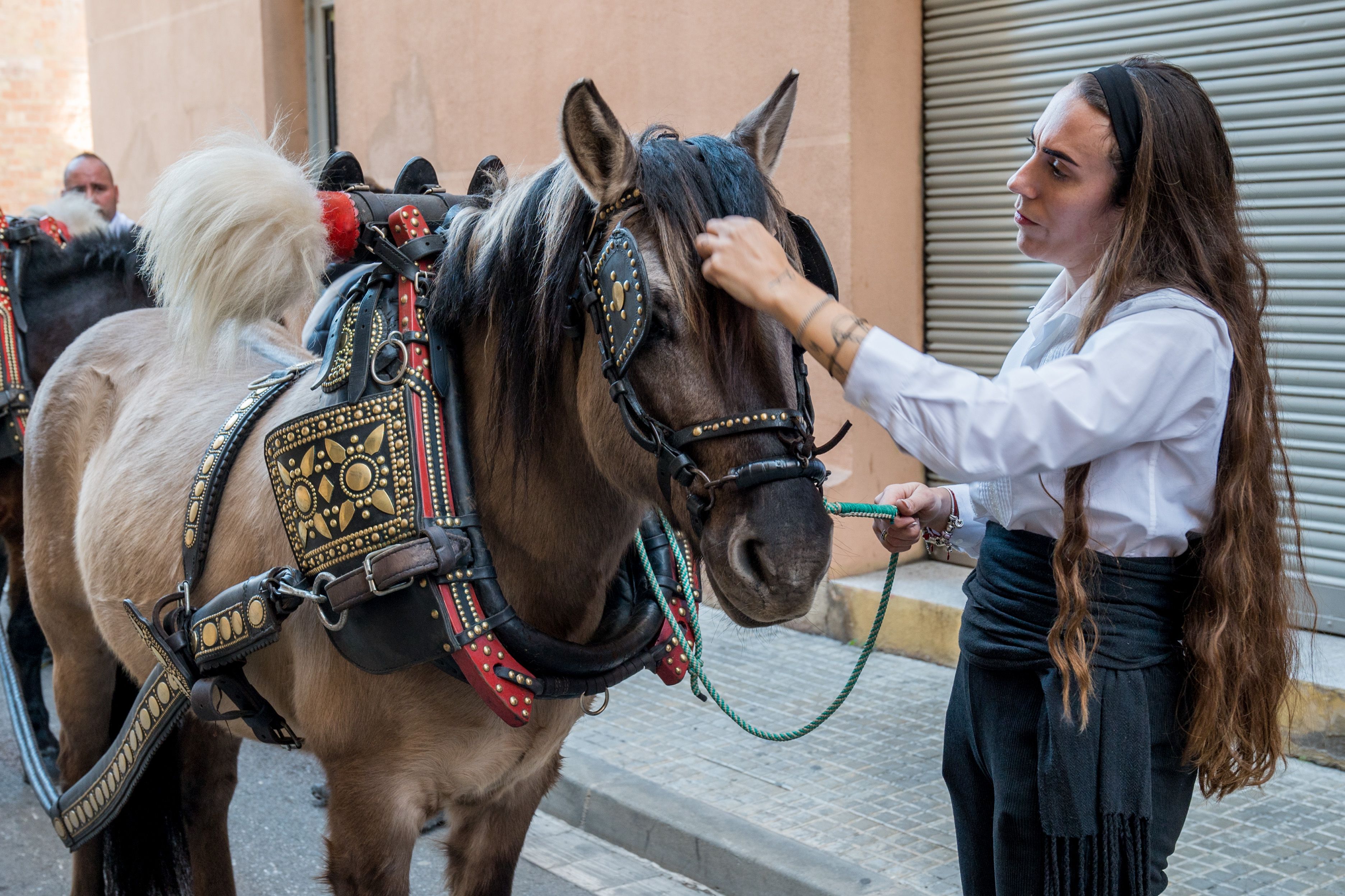 Rua dels Tres Tombs per Sant Antoni 2025 FOTO: Carmelo Jiménez