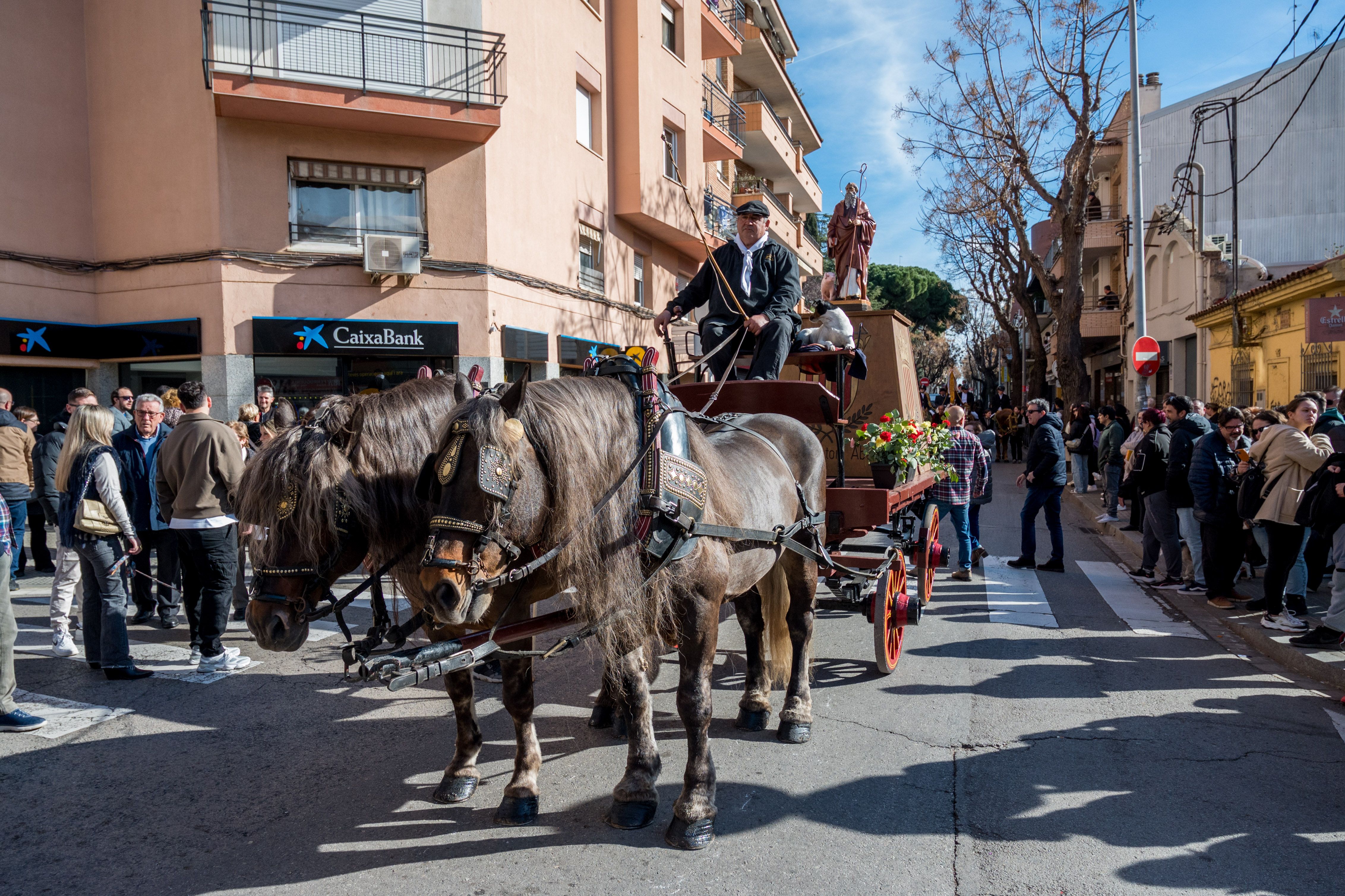 Rua dels Tres Tombs per Sant Antoni 2025 FOTO: Carmelo Jiménez