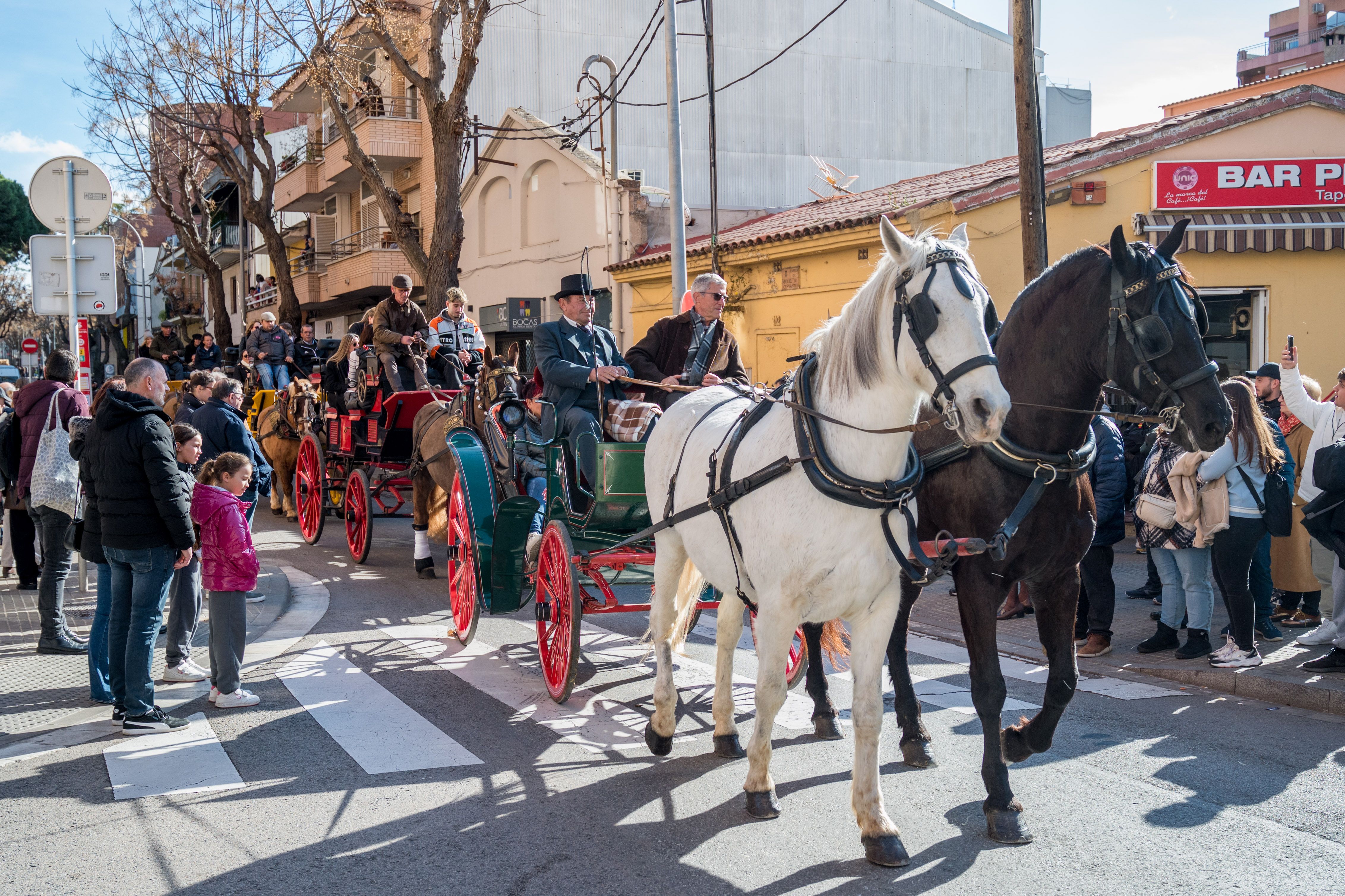 Rua dels Tres Tombs per Sant Antoni 2025 FOTO: Carmelo Jiménez