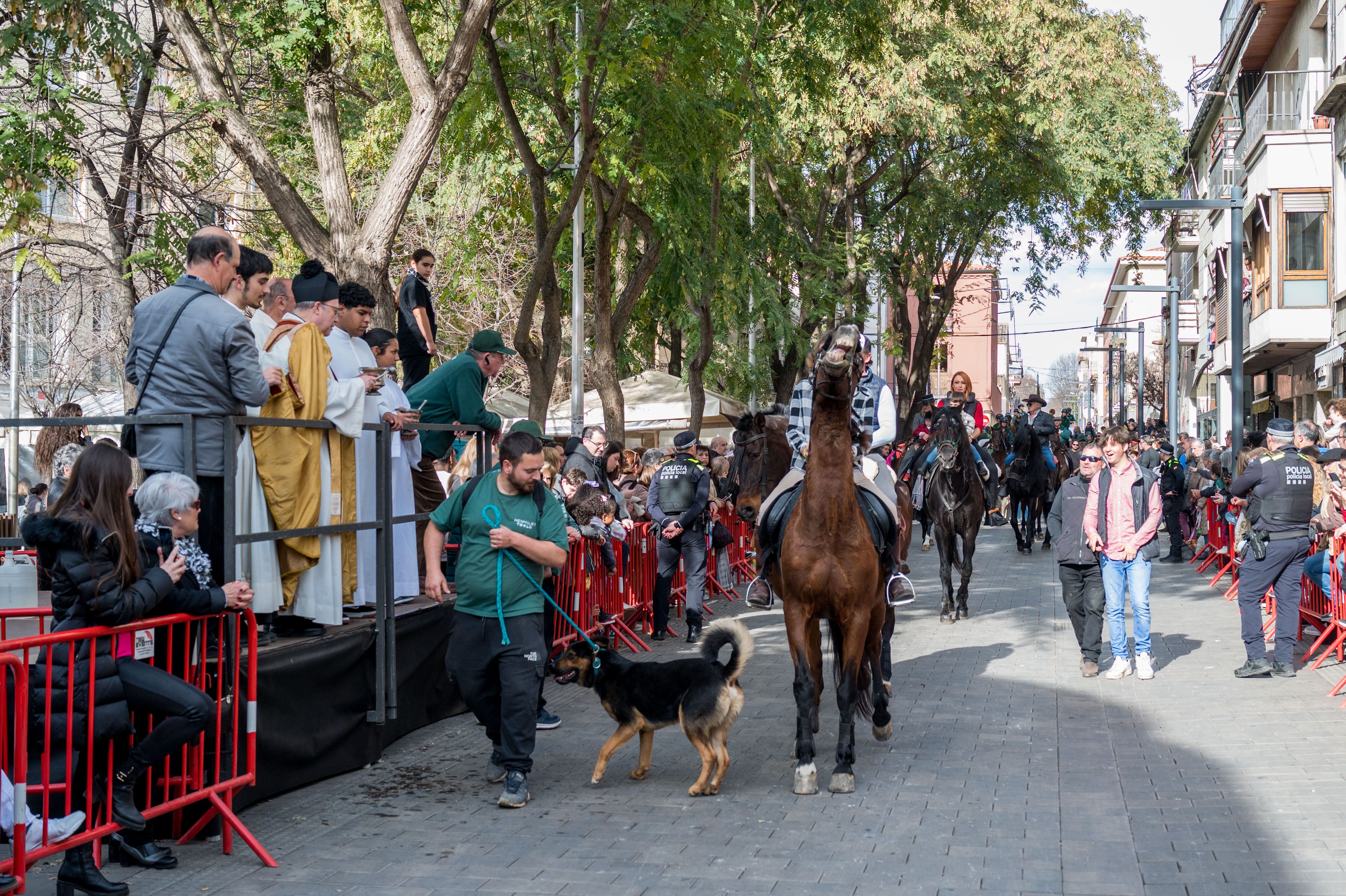 Rua dels Tres Tombs per Sant Antoni 2025 FOTO: Carmelo Jiménez