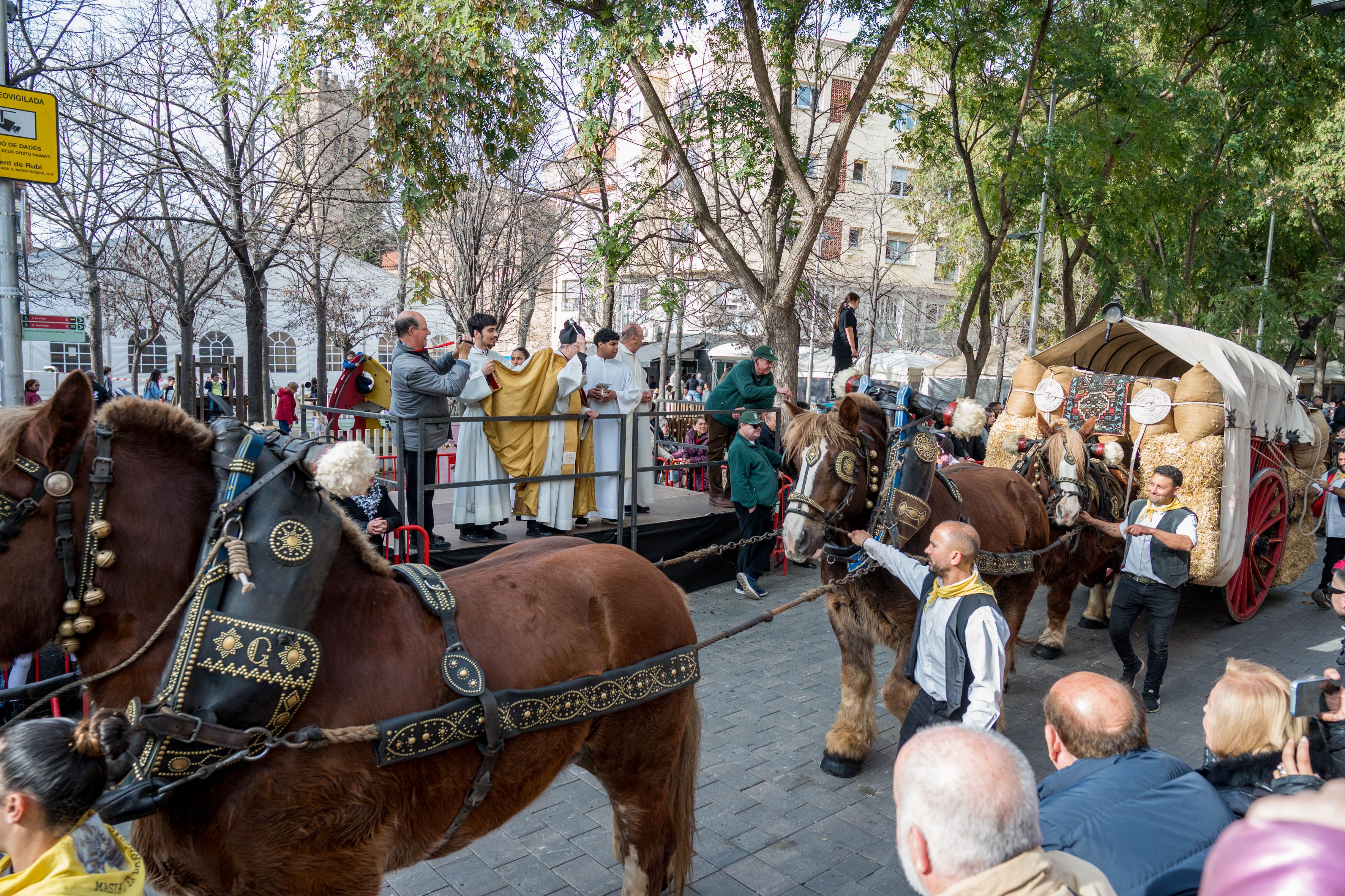 Rua dels Tres Tombs per Sant Antoni 2025 FOTO: Carmelo Jiménez