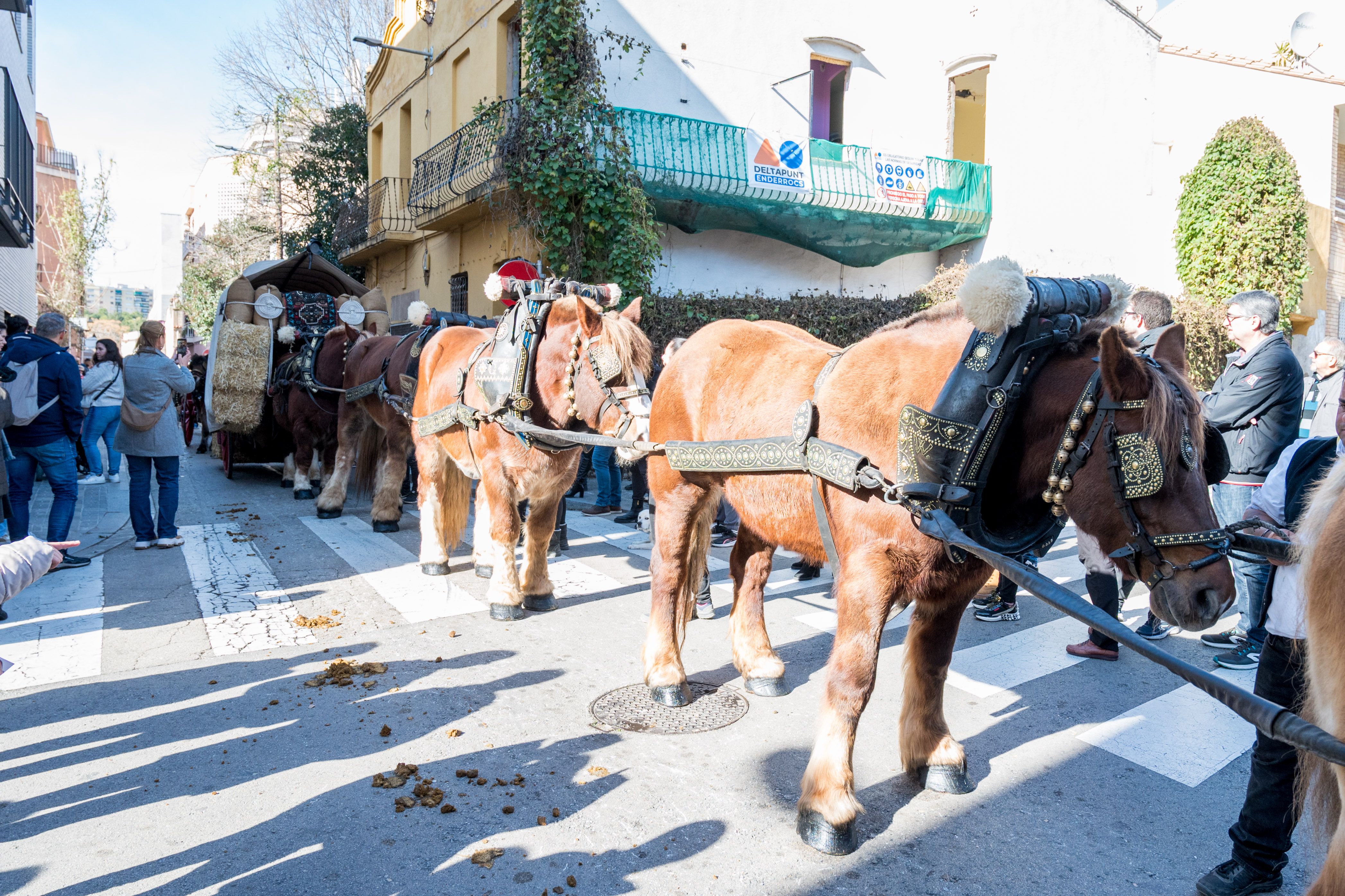 Rua dels Tres Tombs per Sant Antoni 2025 FOTO: Carmelo Jiménez