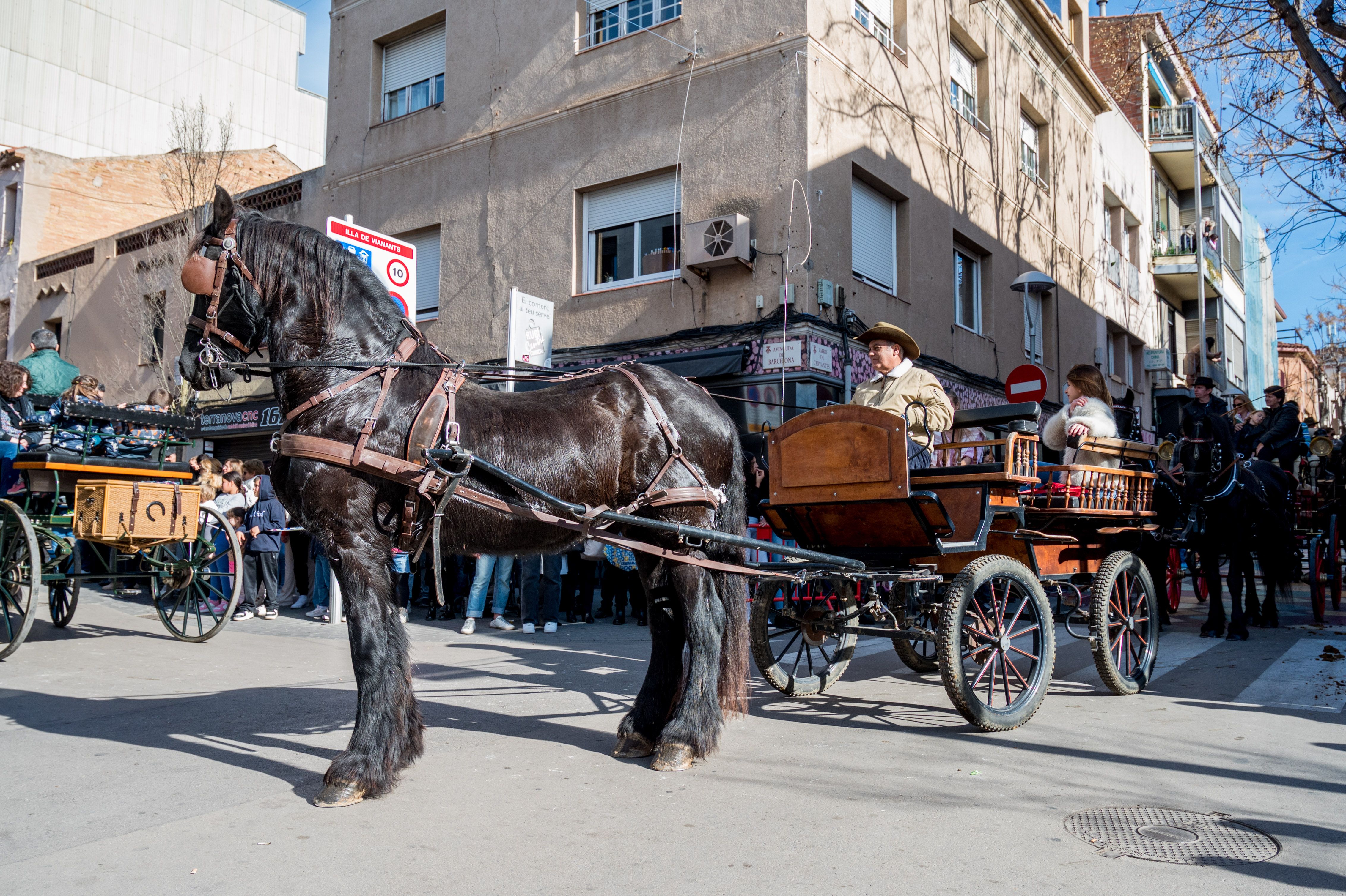 Rua dels Tres Tombs per Sant Antoni 2025 FOTO: Carmelo Jiménez