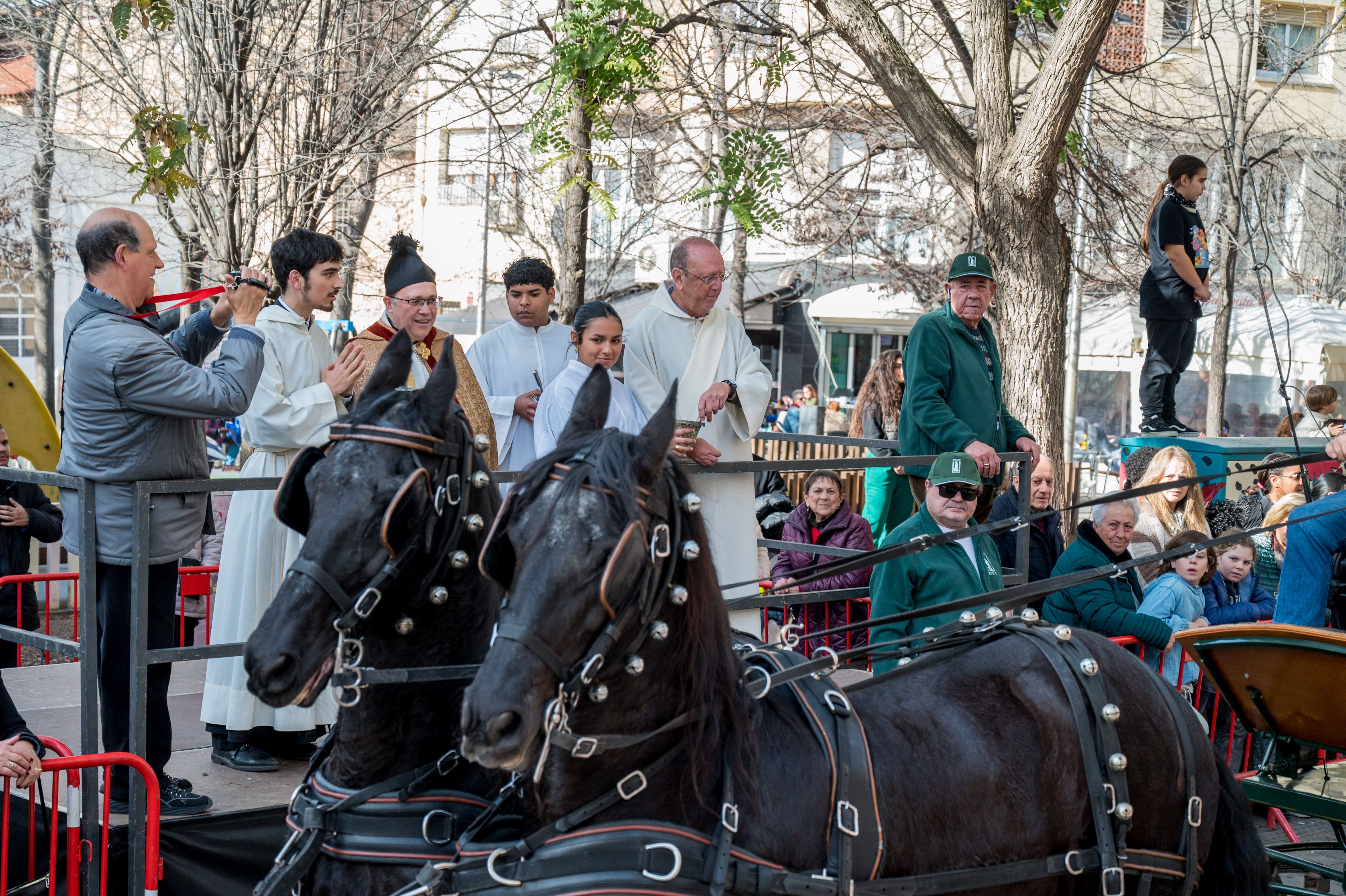 Rua dels Tres Tombs per Sant Antoni 2025 FOTO: Carmelo Jiménez