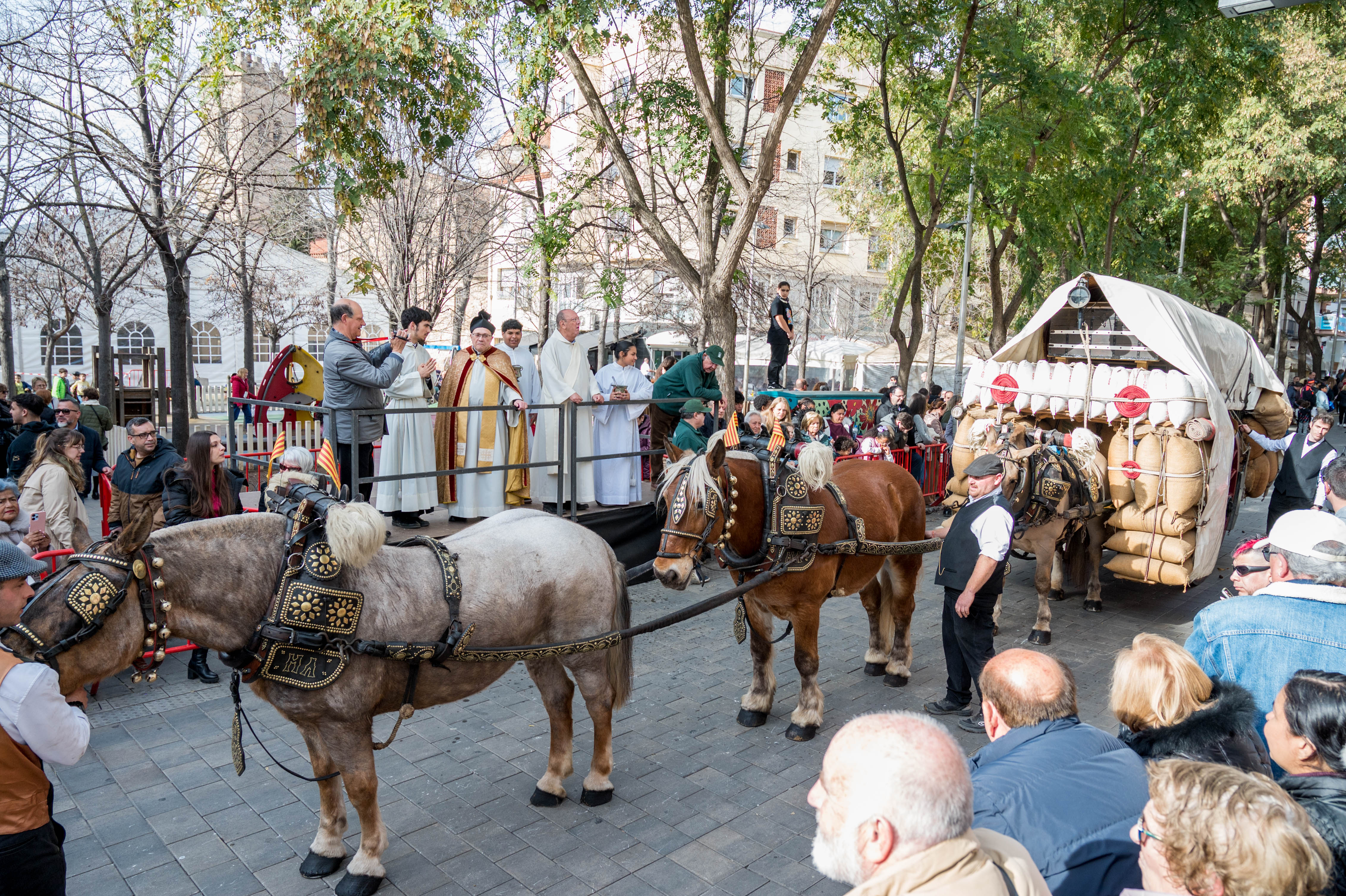 Rua dels Tres Tombs per Sant Antoni 2025 FOTO: Carmelo Jiménez